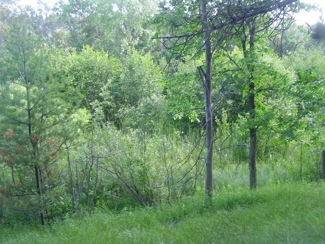 4281 Kneeland Road Lewiston, MI 49756 - Photo 9 of 11 Gallery Image 9