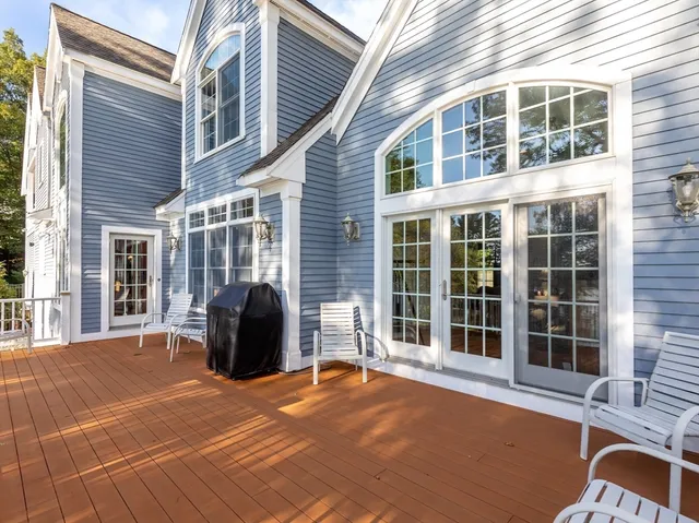 a view of a yard with plants