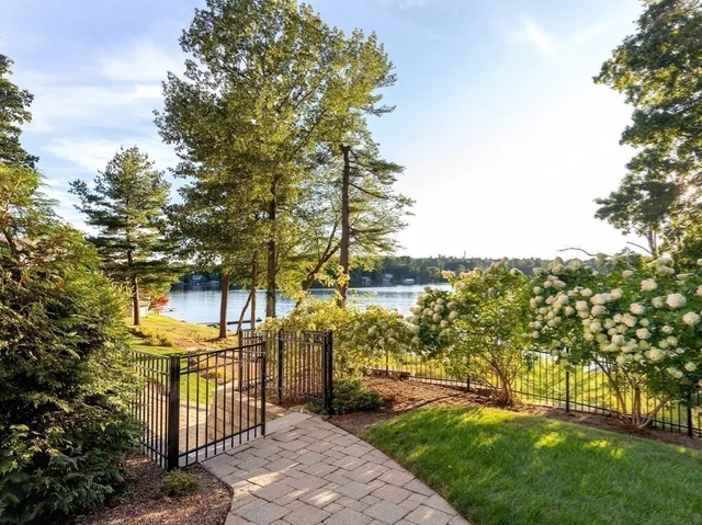 a view of a yard with plants and large trees