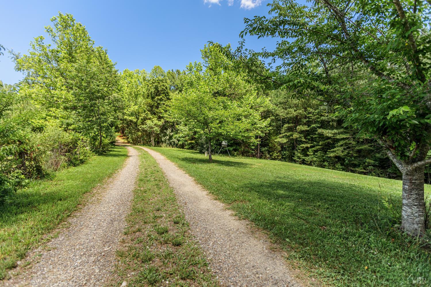 1408 Coleman Mountain Road Appomattox, VA 24522 - Photo 54 of 55