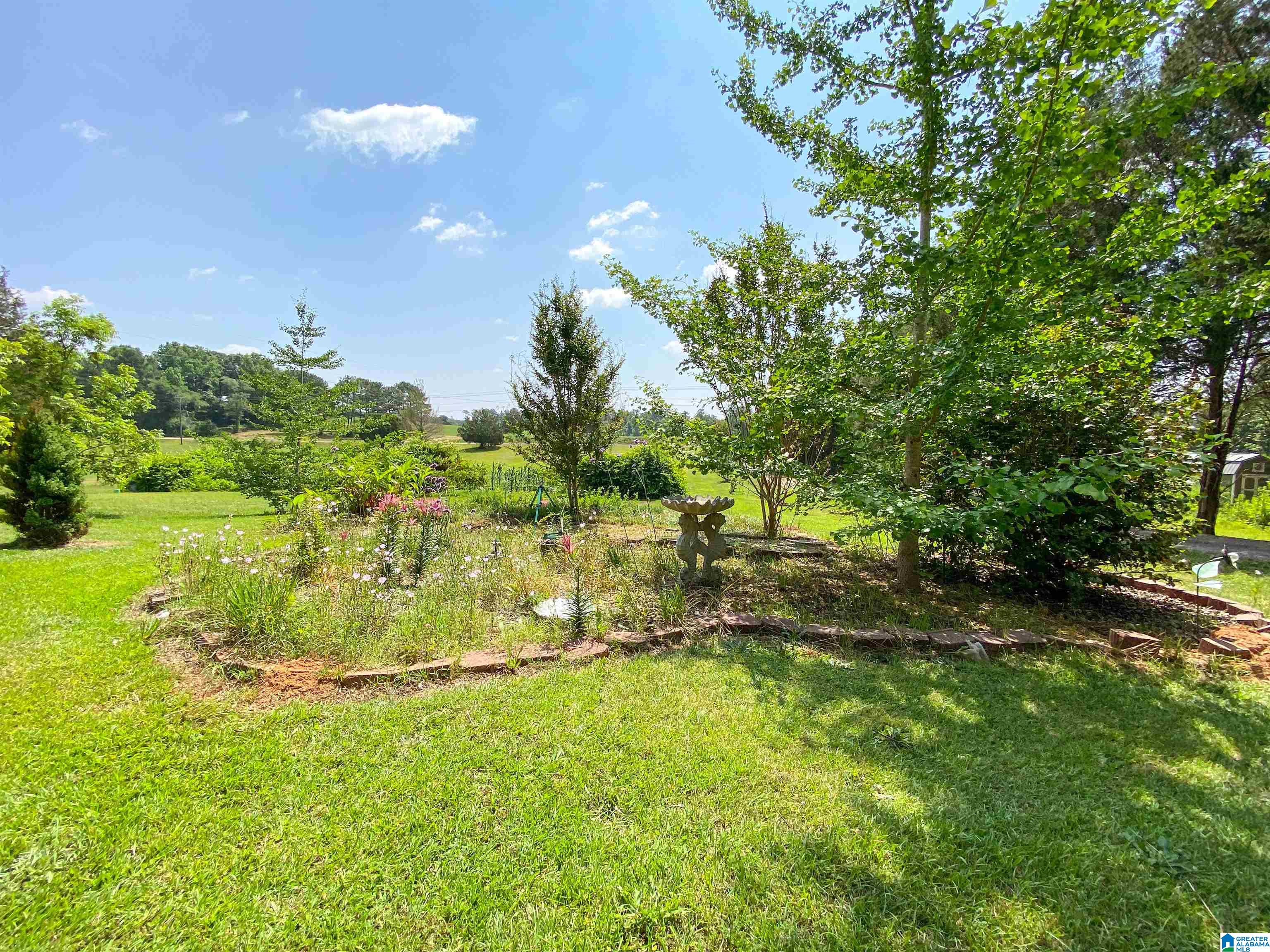 1505 Camp Creek Road Cropwell, AL 35054 - Photo 41 of 48