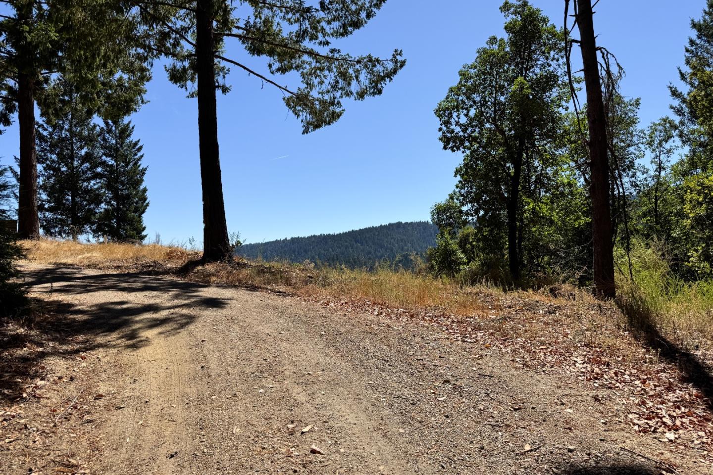 1200 Roberts Road Ben Lomond, CA 95005 - Photo 13 of 15 a view of a road with a tree