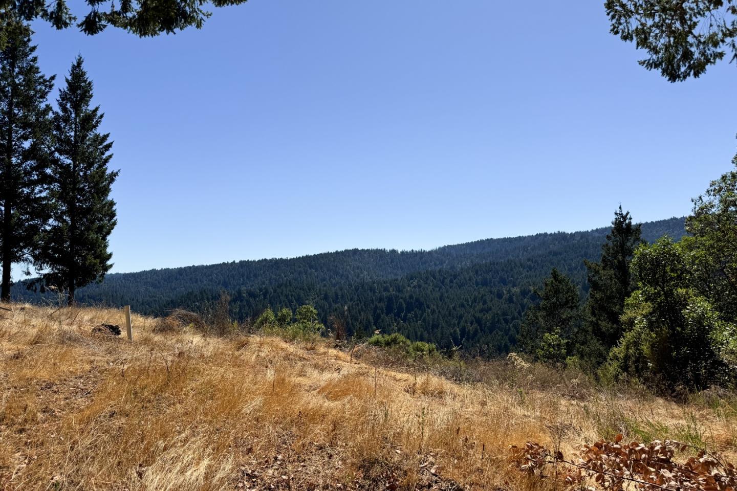 1200 Roberts Road Ben Lomond, CA 95005 - Photo 6 of 15 a view of a lake with mountains in the background