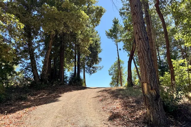 a view of a dry yard