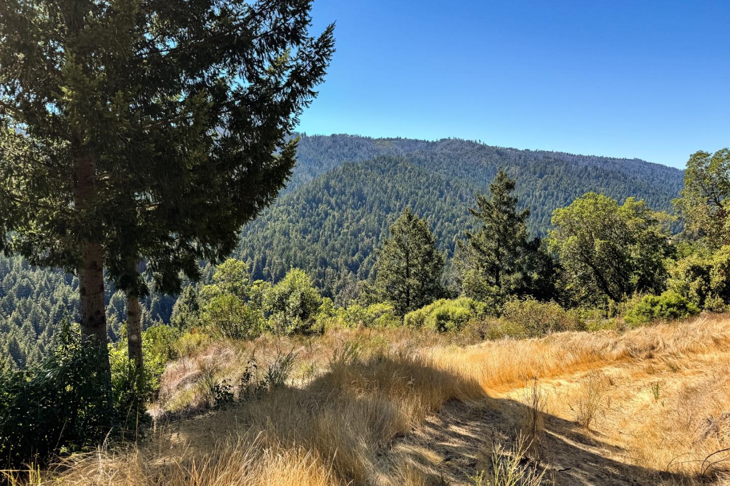 1200 Roberts Road Ben Lomond, CA 95005 - Photo 9 of 15 a view of mountain view with mountains in the background