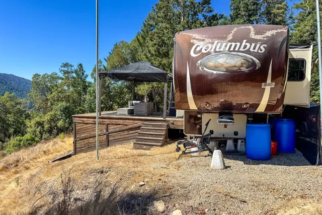 a view of a garden with a tree
