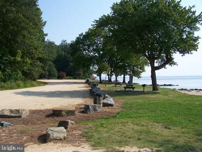 12424 Hisperia Road Lusby, MD 20657 - Photo 46 of 50 Driftwood beach