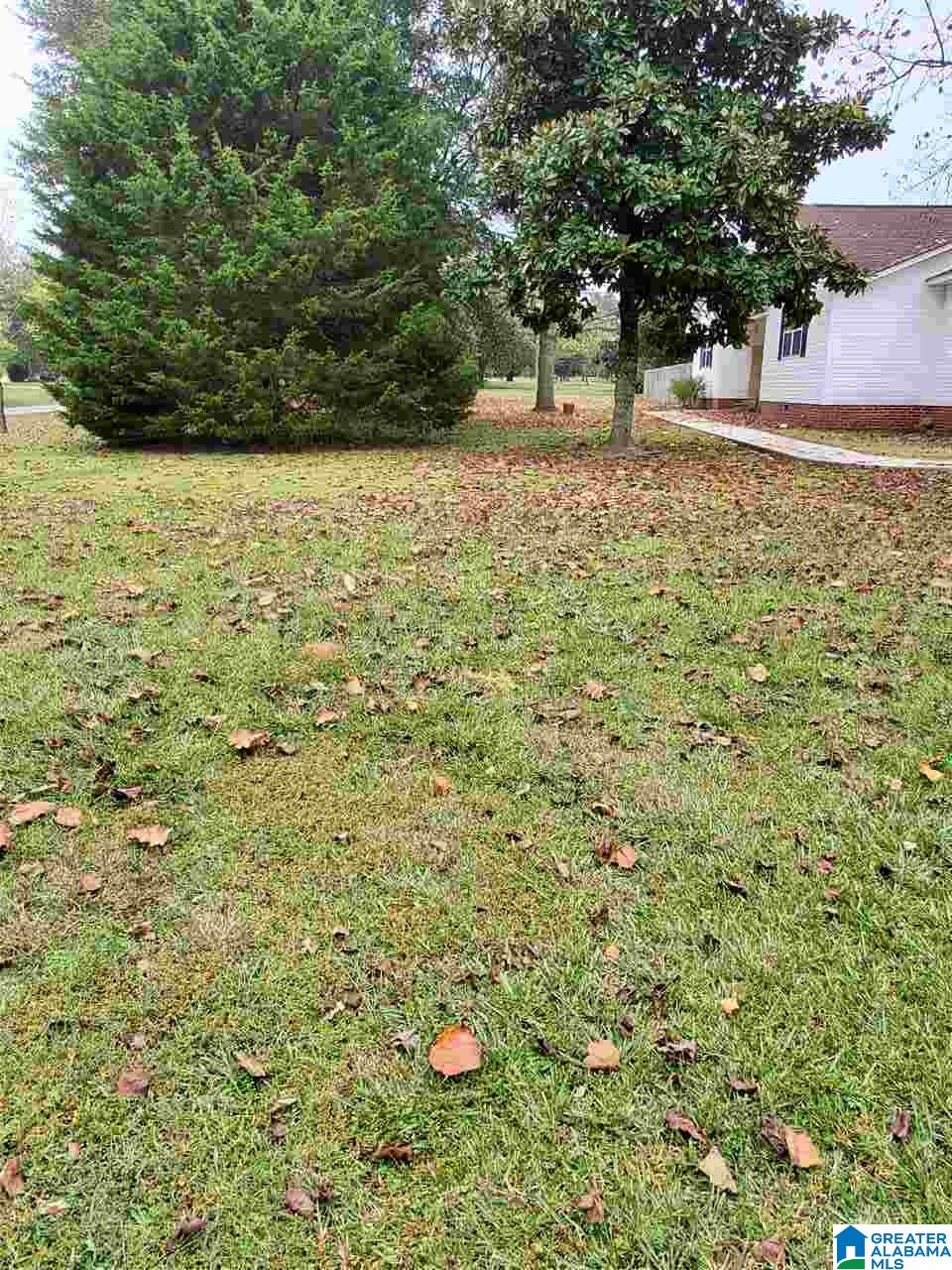 123 County Road 1834 Arab, AL 35016 - Photo 27 of 28