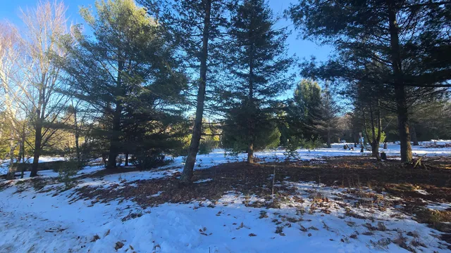 $50,000 | Old Freesoil Road, Manistee, MI 49660
