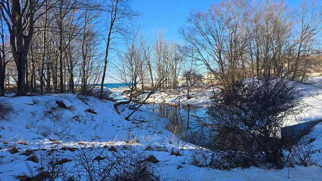 $50,000 | Old Freesoil Road, Manistee, MI 49660