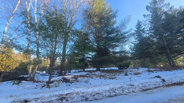 $50,000 | Old Freesoil Road, Manistee, MI 49660