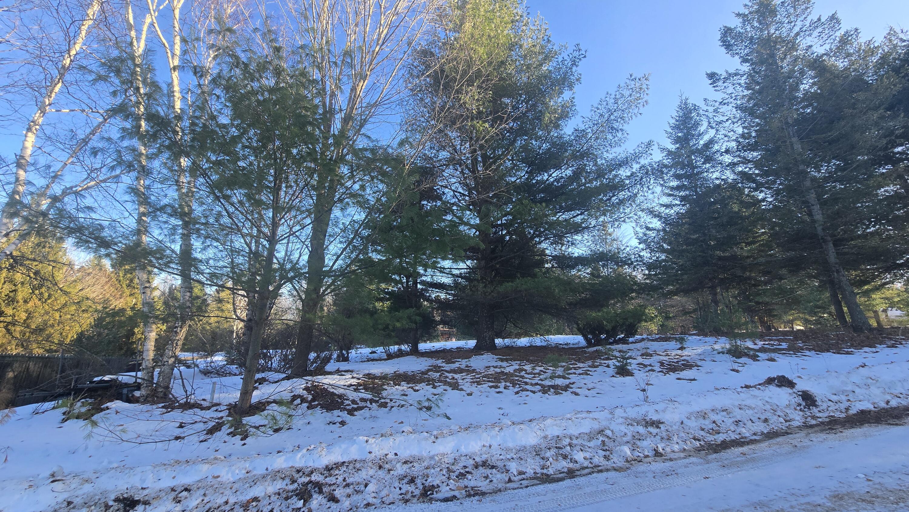 Old Freesoil Road Manistee, MI 49660 - Photo 4 of 22 20251217_144856