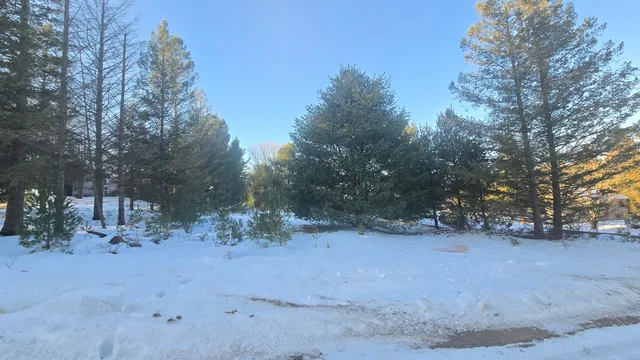 $50,000 | Old Freesoil Road, Manistee, MI 49660