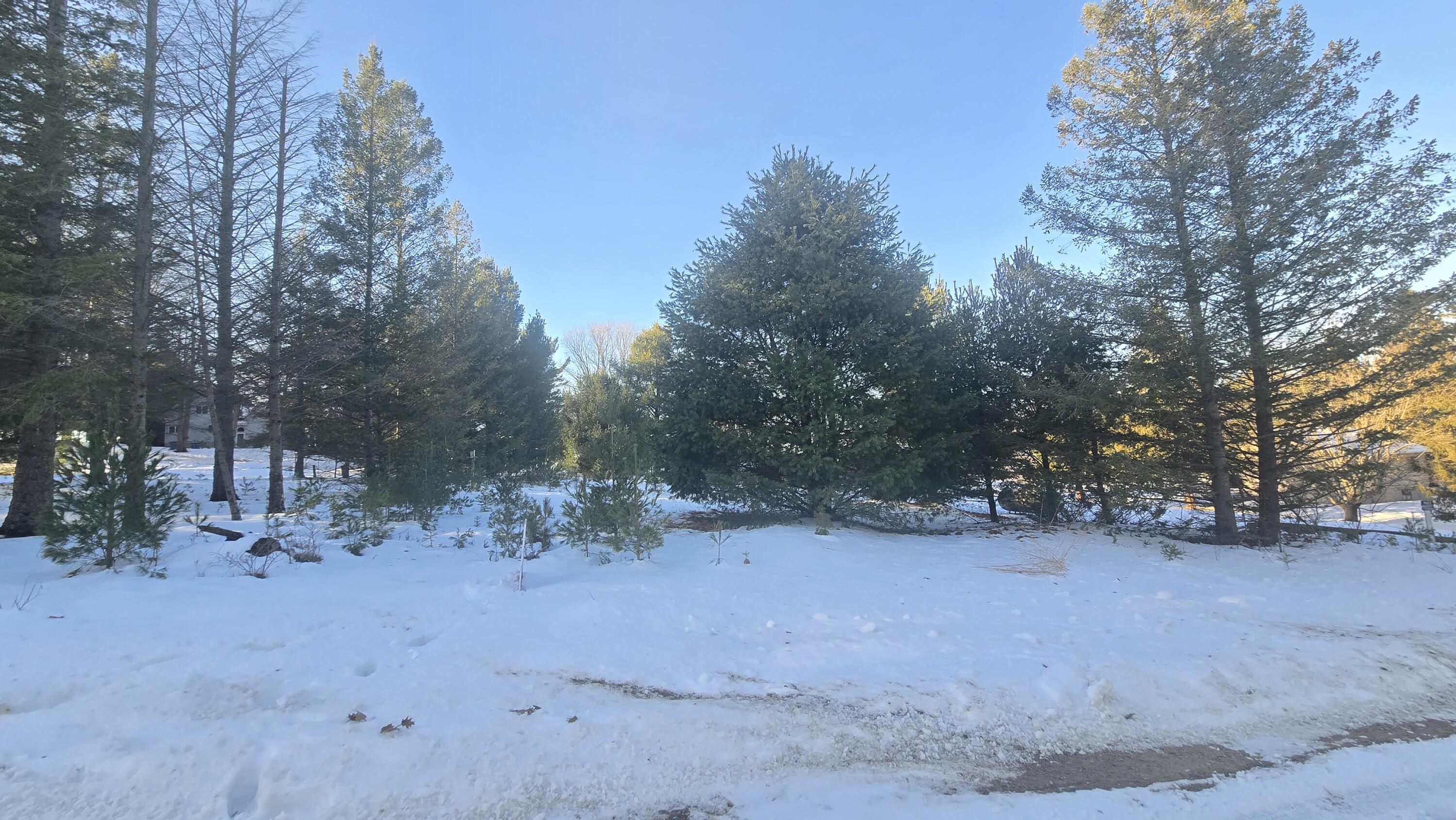 Old Freesoil Road Manistee, MI 49660 - Photo 5 of 22 20251217_143915
