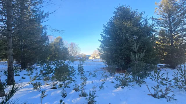 $50,000 | Old Freesoil Road, Manistee, MI 49660