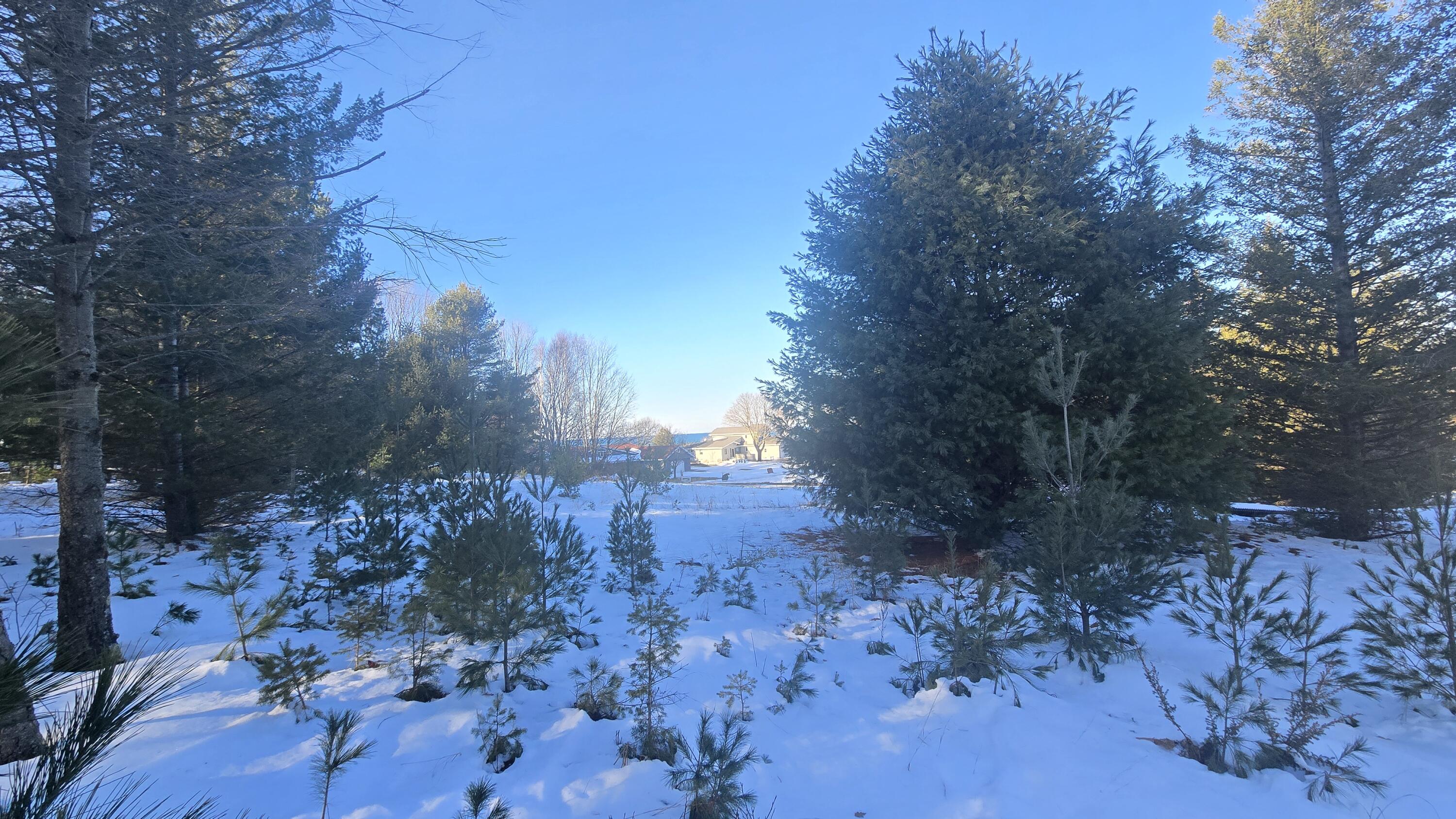 Old Freesoil Road Manistee, MI 49660 - Photo 6 of 22 20251217_143944