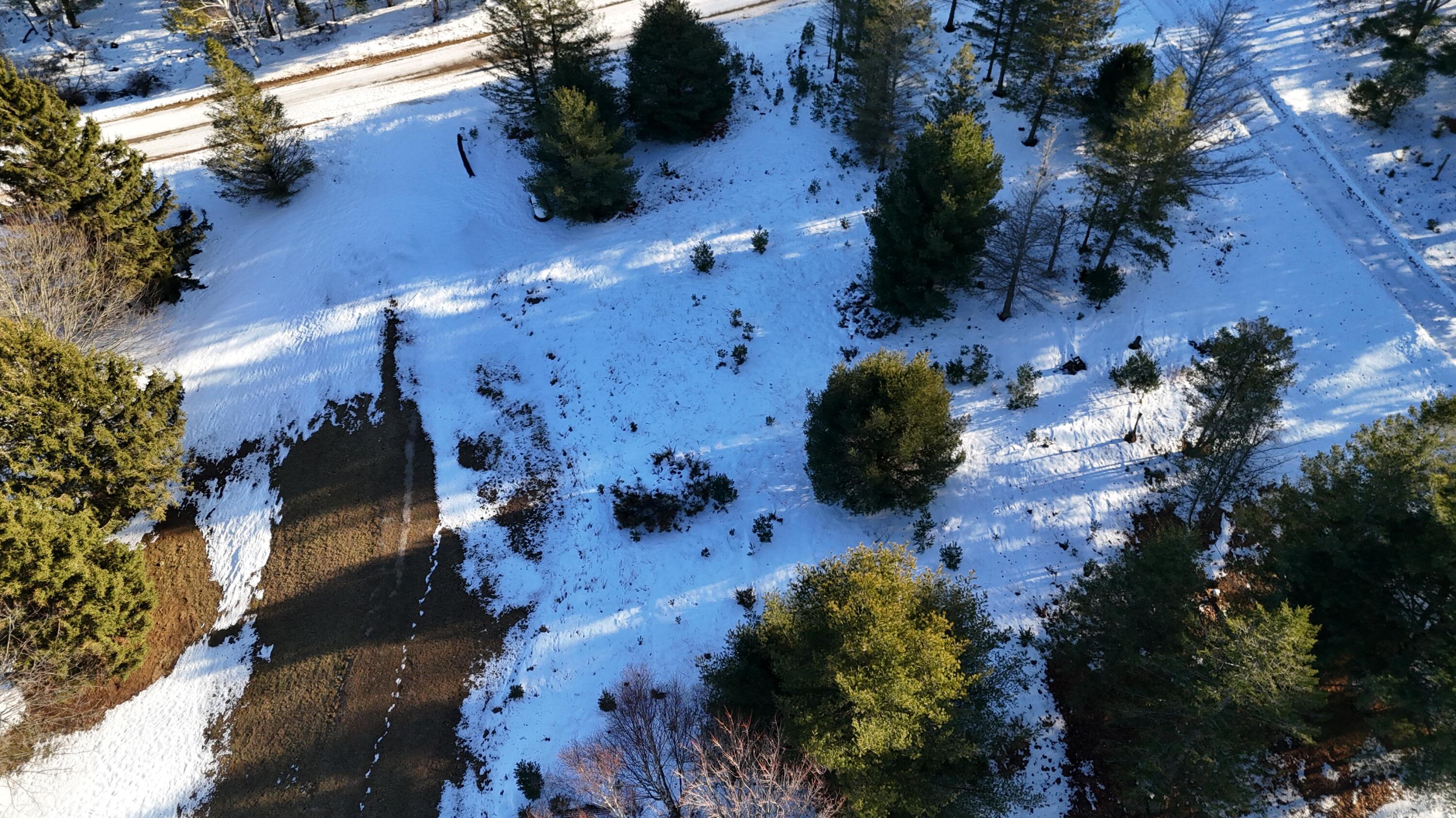 Old Freesoil Road Manistee, MI 49660 - Photo 8 of 22 DJI_20251217142457_0190_D