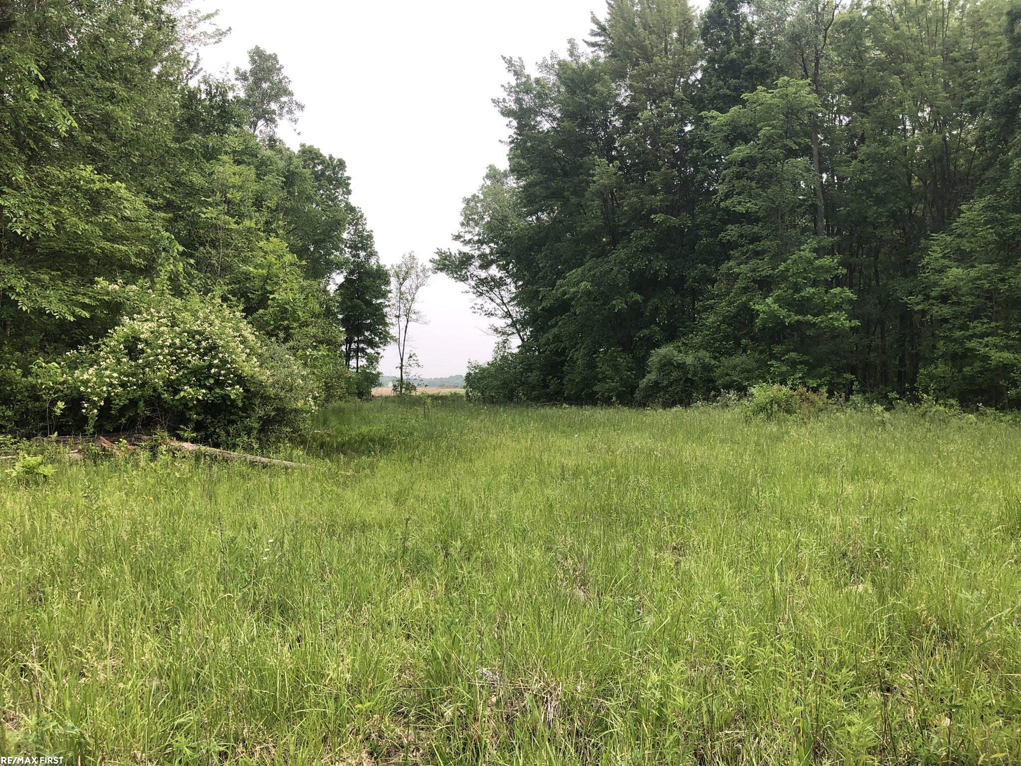 0 29 29 Mile Road New Haven, MI 48050 - Photo 26 of 38