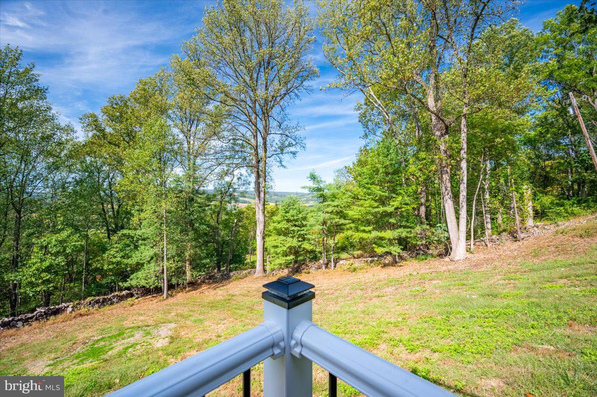 4117 Crow Rock Road Myersville, MD 21773 - Photo 84 of 97