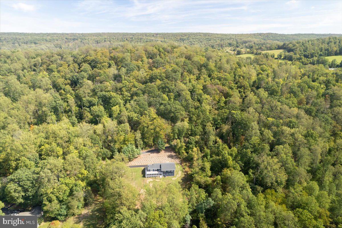 4117 Crow Rock Road Myersville, MD 21773 - Photo 88 of 97 a view of a field with an ocean