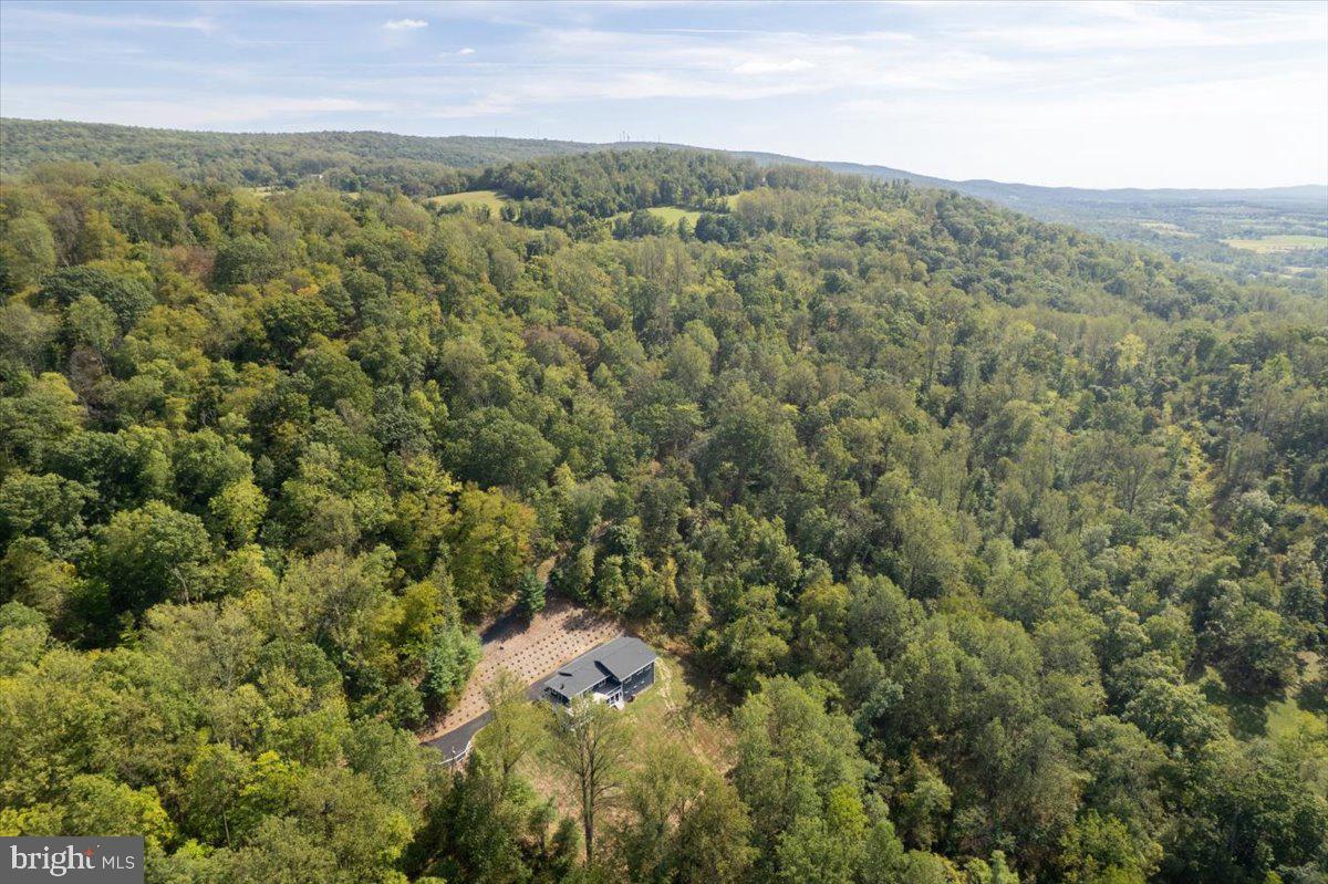 4117 Crow Rock Road Myersville, MD 21773 - Photo 89 of 97