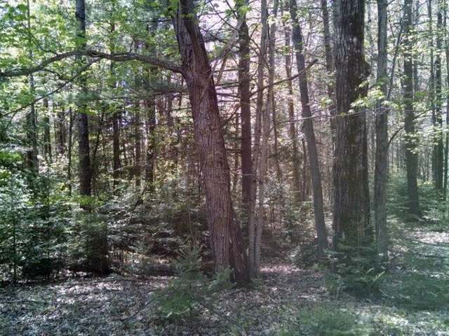 Near4063 Chain O Lakes Road Eagle River, WI 54521 - Photo 2 of 9 Gallery Image 2