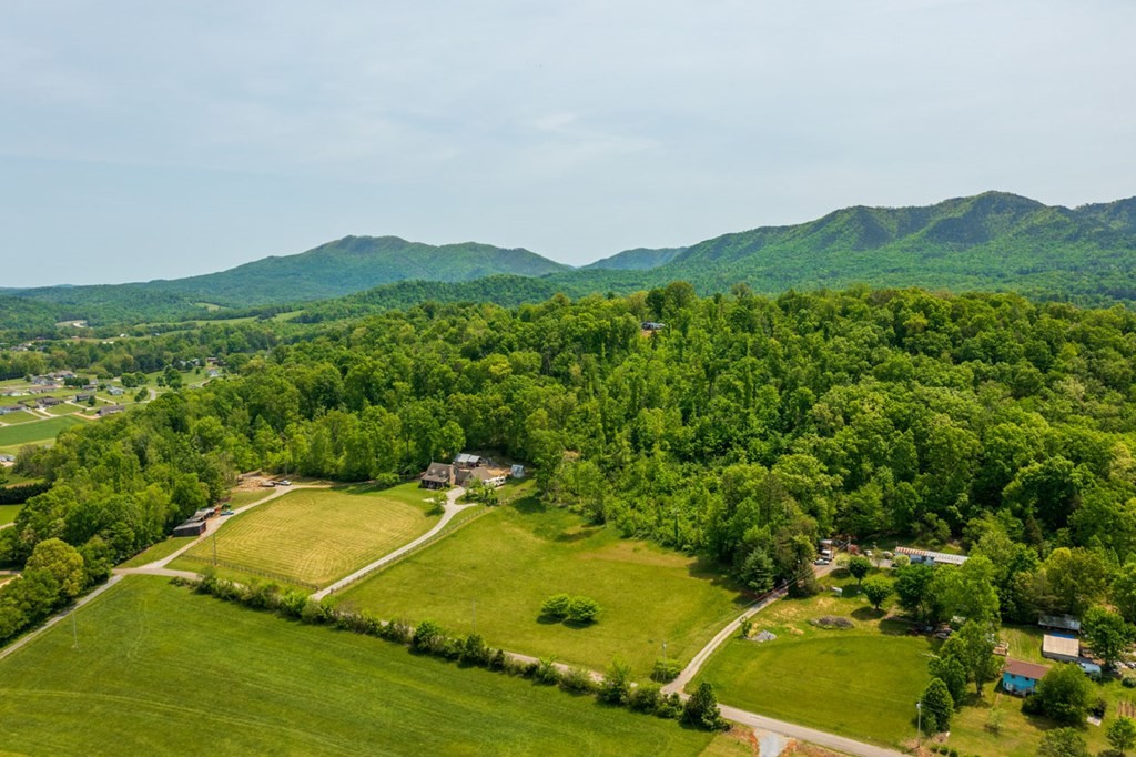 1150 Camellia Road Newport, TN 37821 - Photo 39 of 52 Gallery Image 39