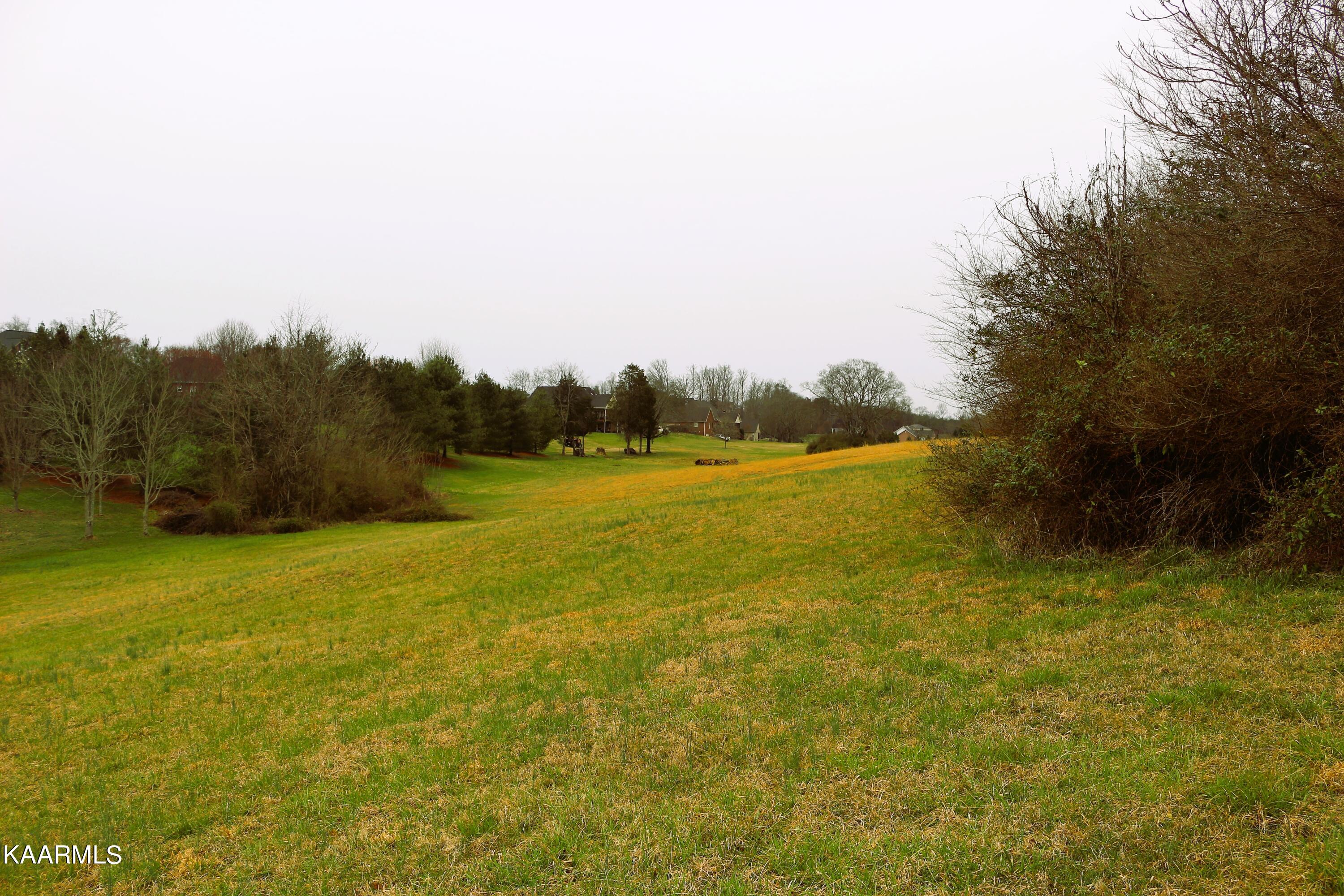4 R Cheyenne Boulevard Seymour, TN 37865 - Photo 20 of 27 View to Rear of Lot