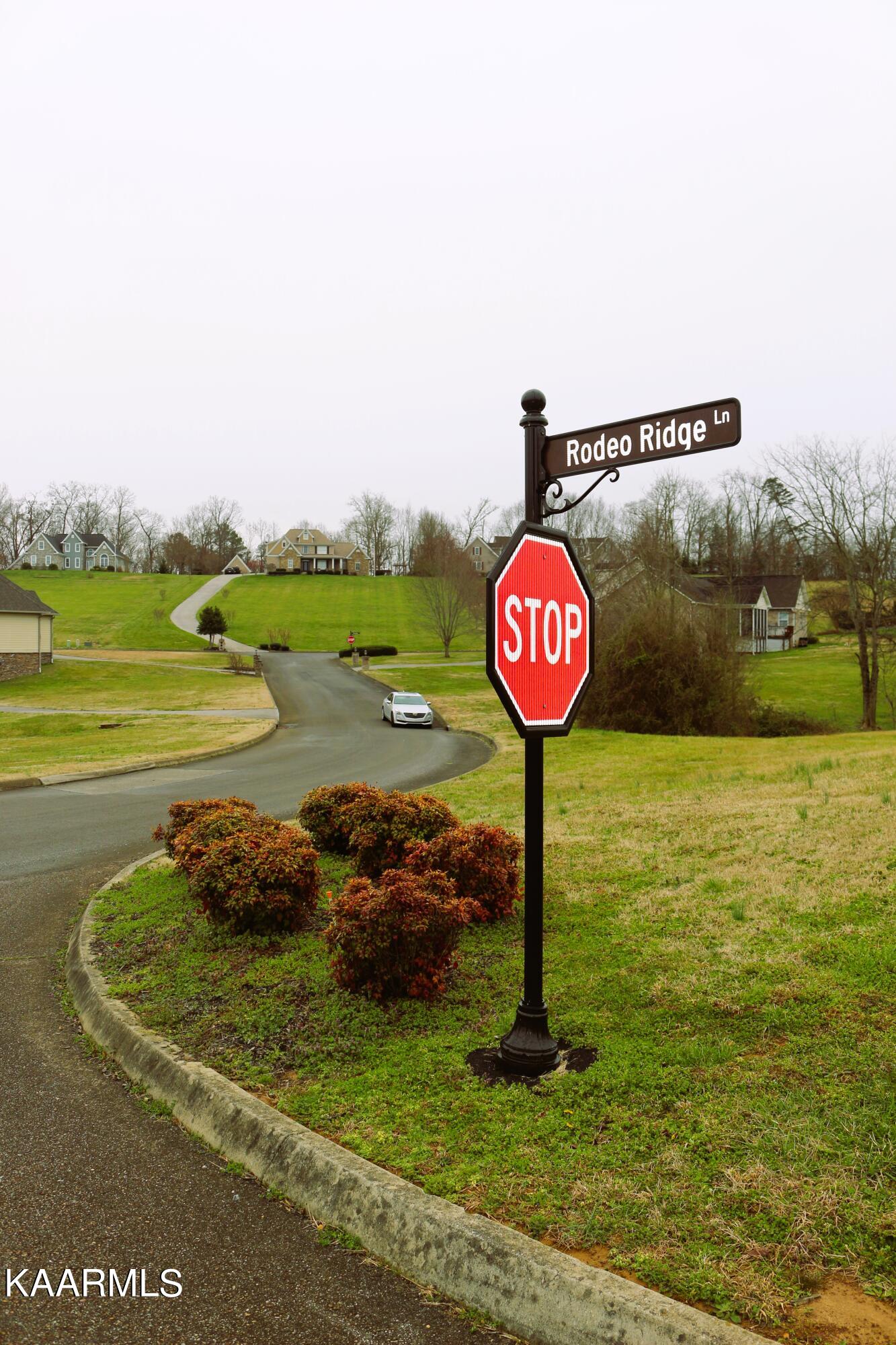 Corner of Lot