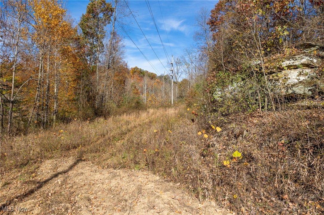 69931 Leeper Road Cambridge, OH 43725 - Photo 17 of 25 Gallery Image 17