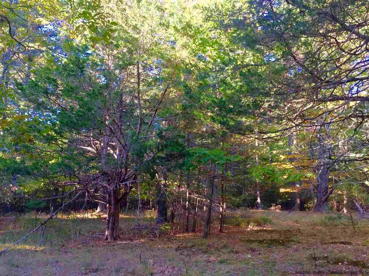 208 Stoll Road Saugerties, NY 12477 - Photo 28 of 29 Photo 28