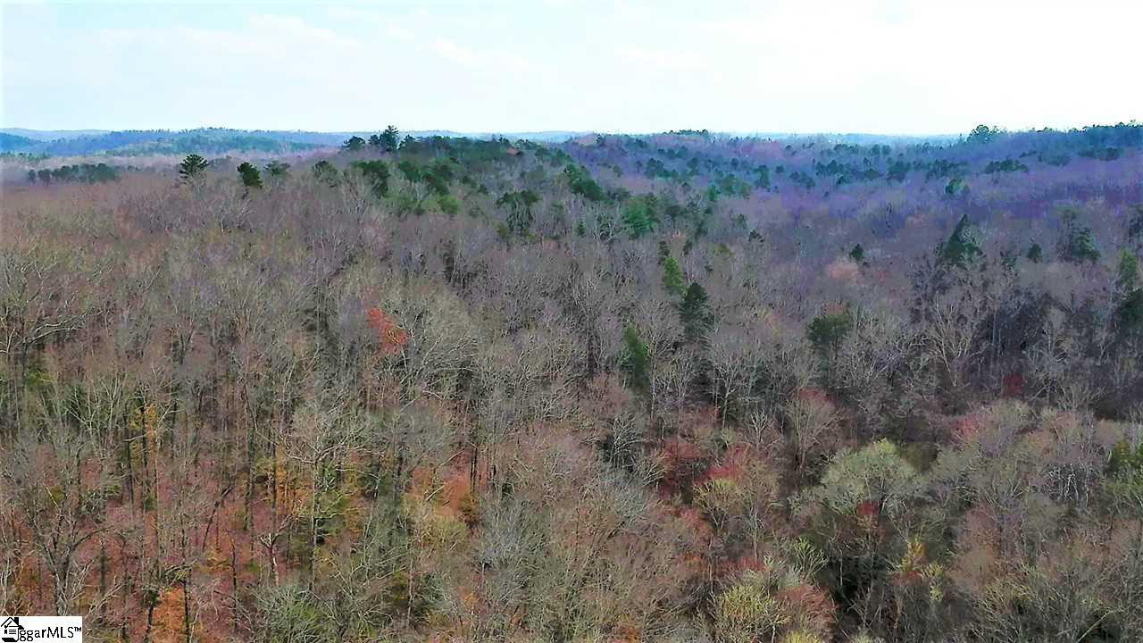 0 Brothers Road Easley, SC 29640 - Photo 4 of 11