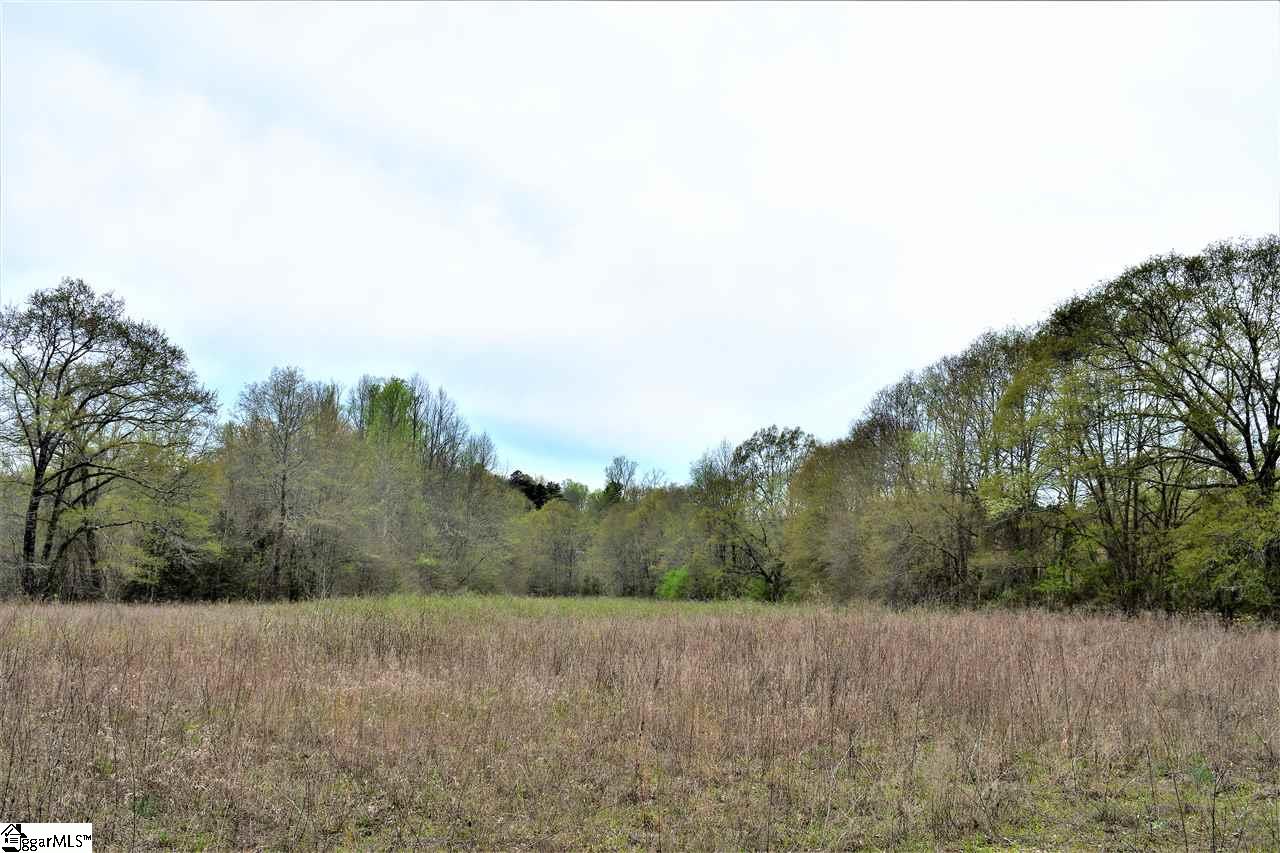 0 Brothers Road Easley, SC 29640 - Photo 9 of 11