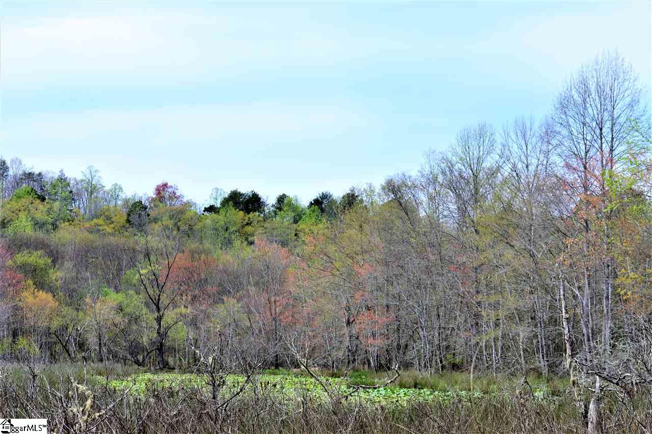 0 Brothers Road Easley, SC 29640 - Photo 10 of 11