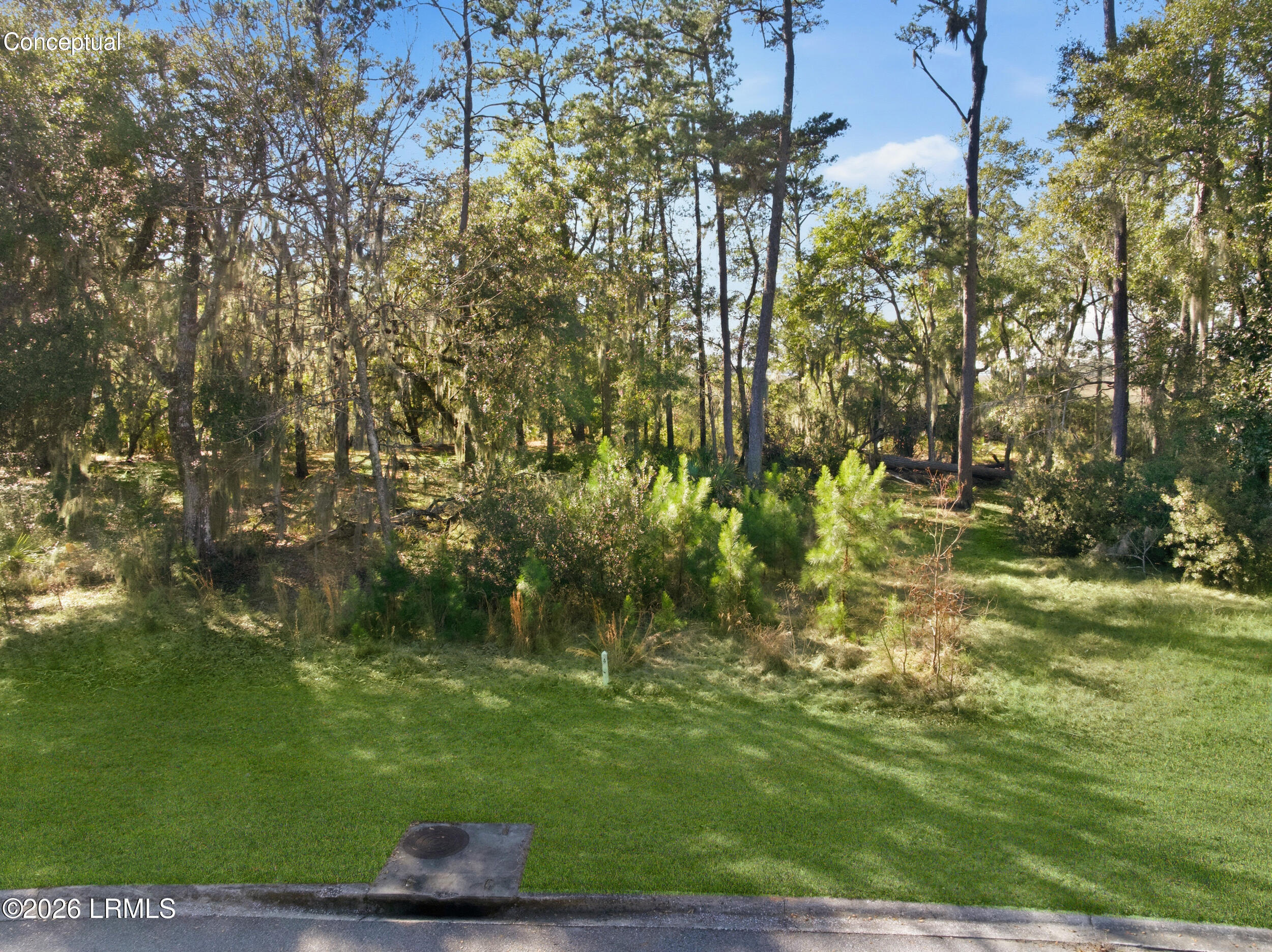 12 Timber Trail Beaufort, SC 29907 - Photo 7 of 14 DJI_20260116135032_0002_D-2