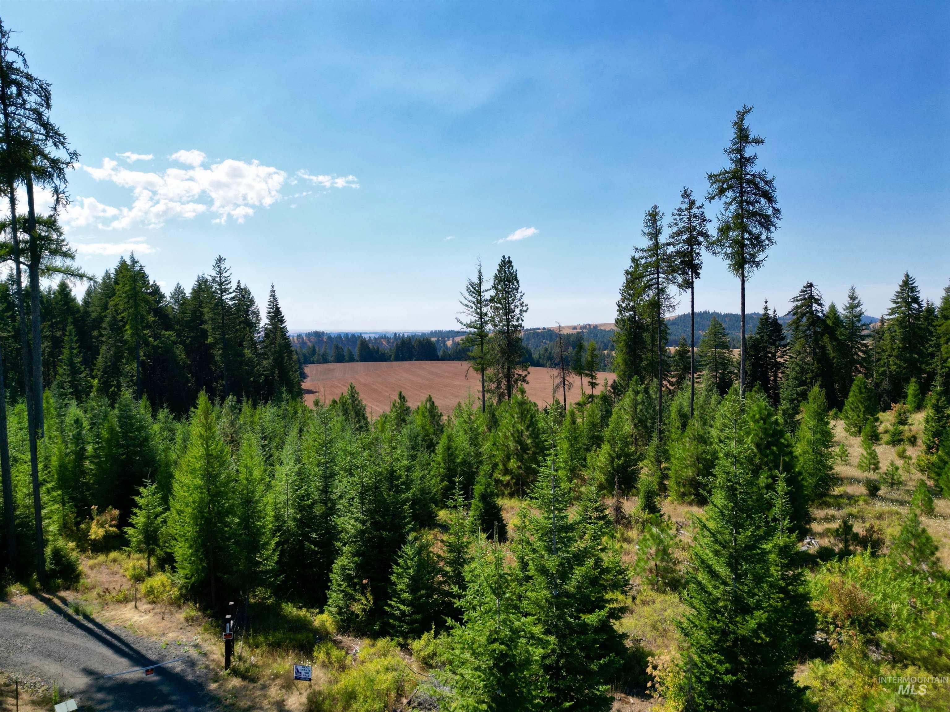 1 Peaceful Valley Road Kamiah, ID 83536 - Photo 5 of 10