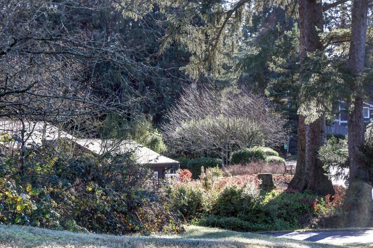 Lot 68 Bay View Road Astoria, OR 97103 - Photo 33 of 40 Nehalem Point neighborhood 2