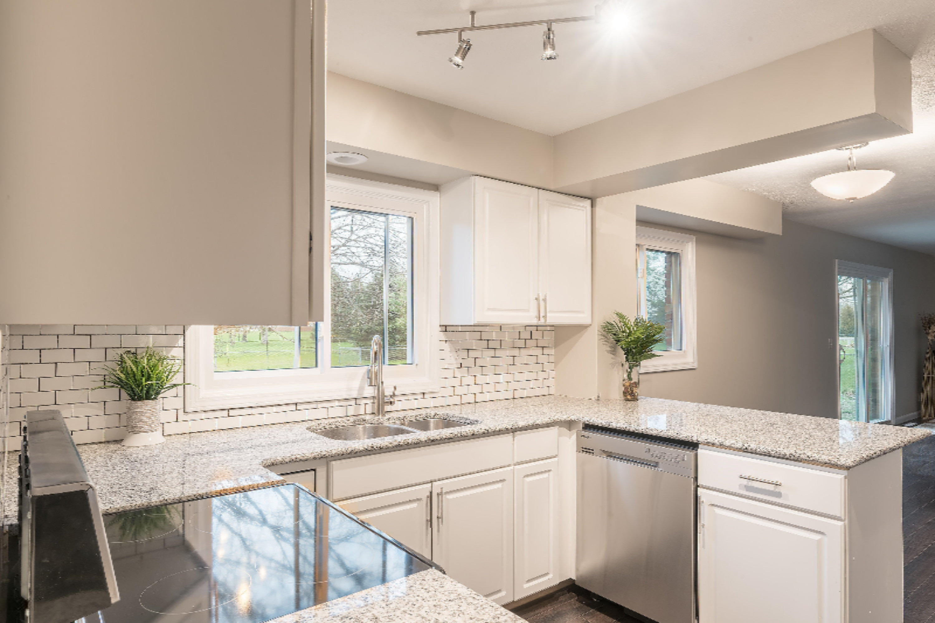 52142 Pine Tree Lane Three Rivers, MI 49093 - Photo 5 of 20 CFP_4311-HDR