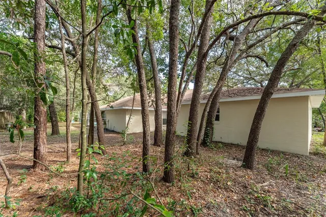 a view of house with backyard and trees