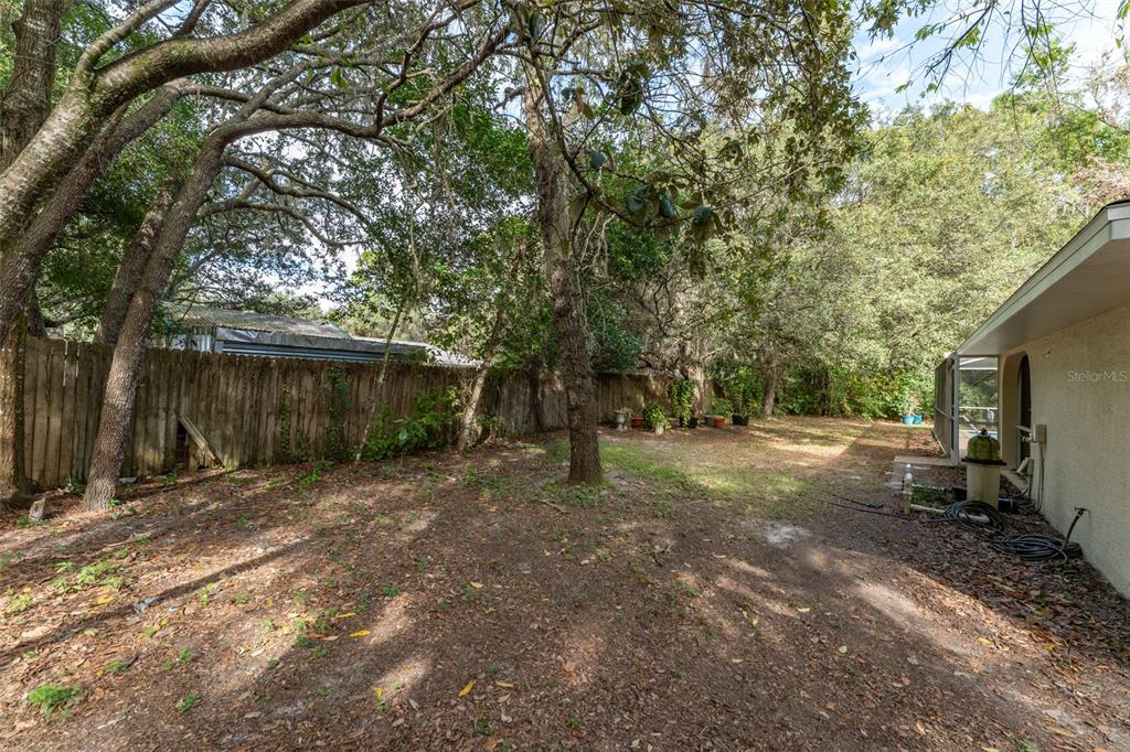 5142 South Louise Point Homosassa, FL 34446 - Photo 13 of 55 a backyard of a house with large trees and wooden fence