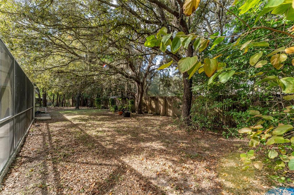 5142 South Louise Point Homosassa, FL 34446 - Photo 16 of 55 a view of a backyard with large trees