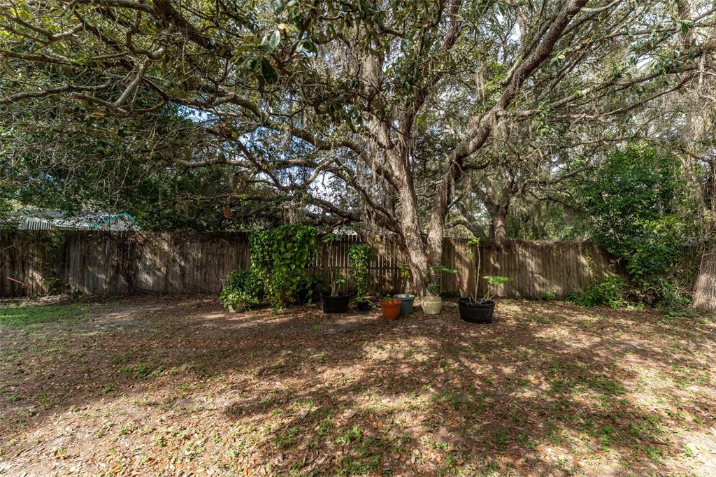 5142 South Louise Point Homosassa, FL 34446 - Photo 17 of 55 a view of a yard with large trees