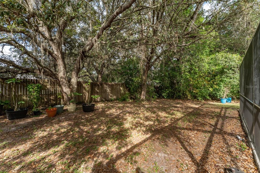 5142 South Louise Point Homosassa, FL 34446 - Photo 18 of 55 a view of a yard with plants and trees