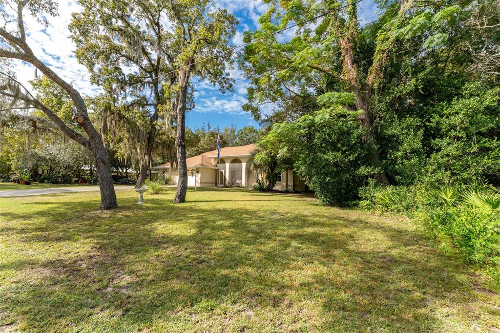 5142 South Louise Point Homosassa, FL 34446 - Photo 5 of 55 a view of a trees in a yard