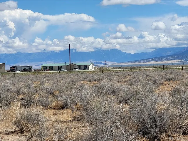 a view of a dry yard with trees