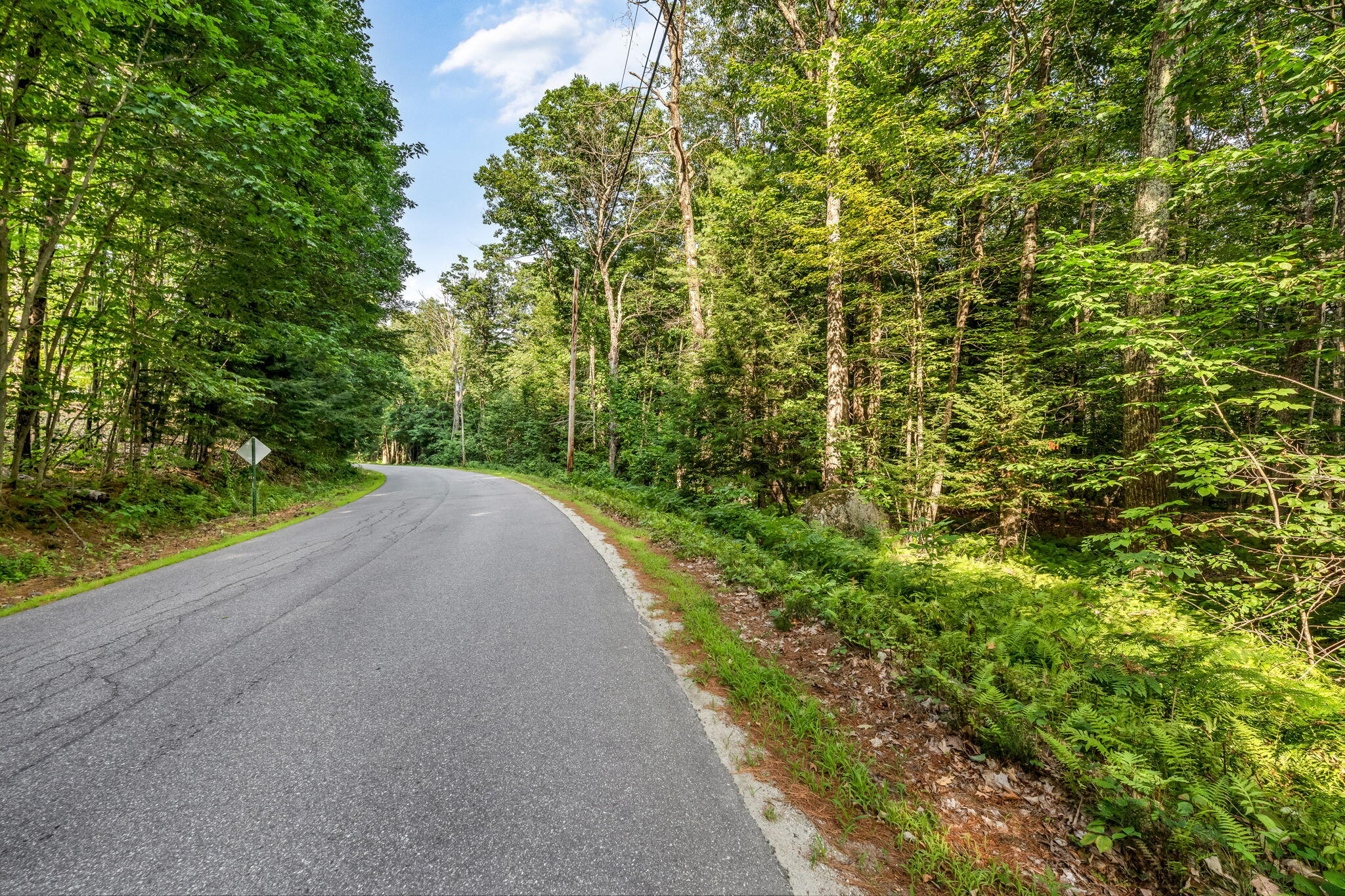 0 Sedgley Road Greene, ME 04236 - Photo 2 of 18 13-web-or-mls-sedgley-rd