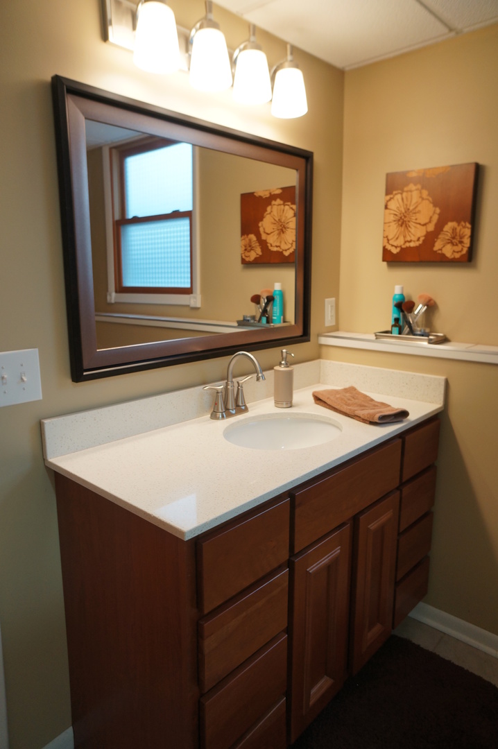787 Amanda Road New Lenox, IL 60451 - Photo 14 of 30