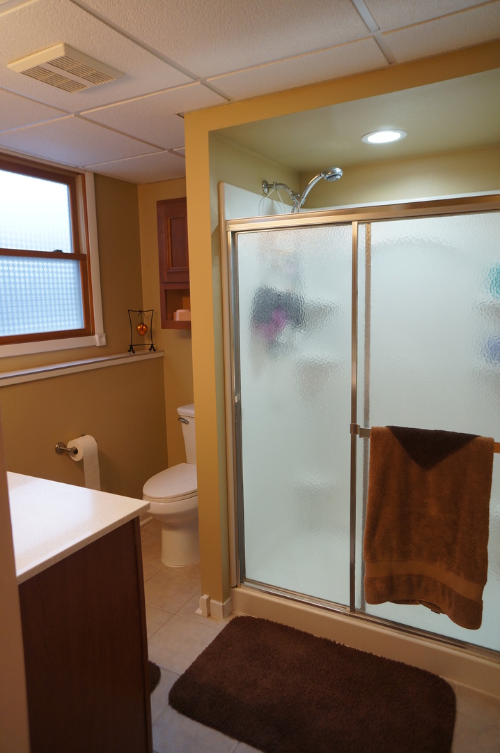 787 Amanda Road New Lenox, IL 60451 - Photo 15 of 30
