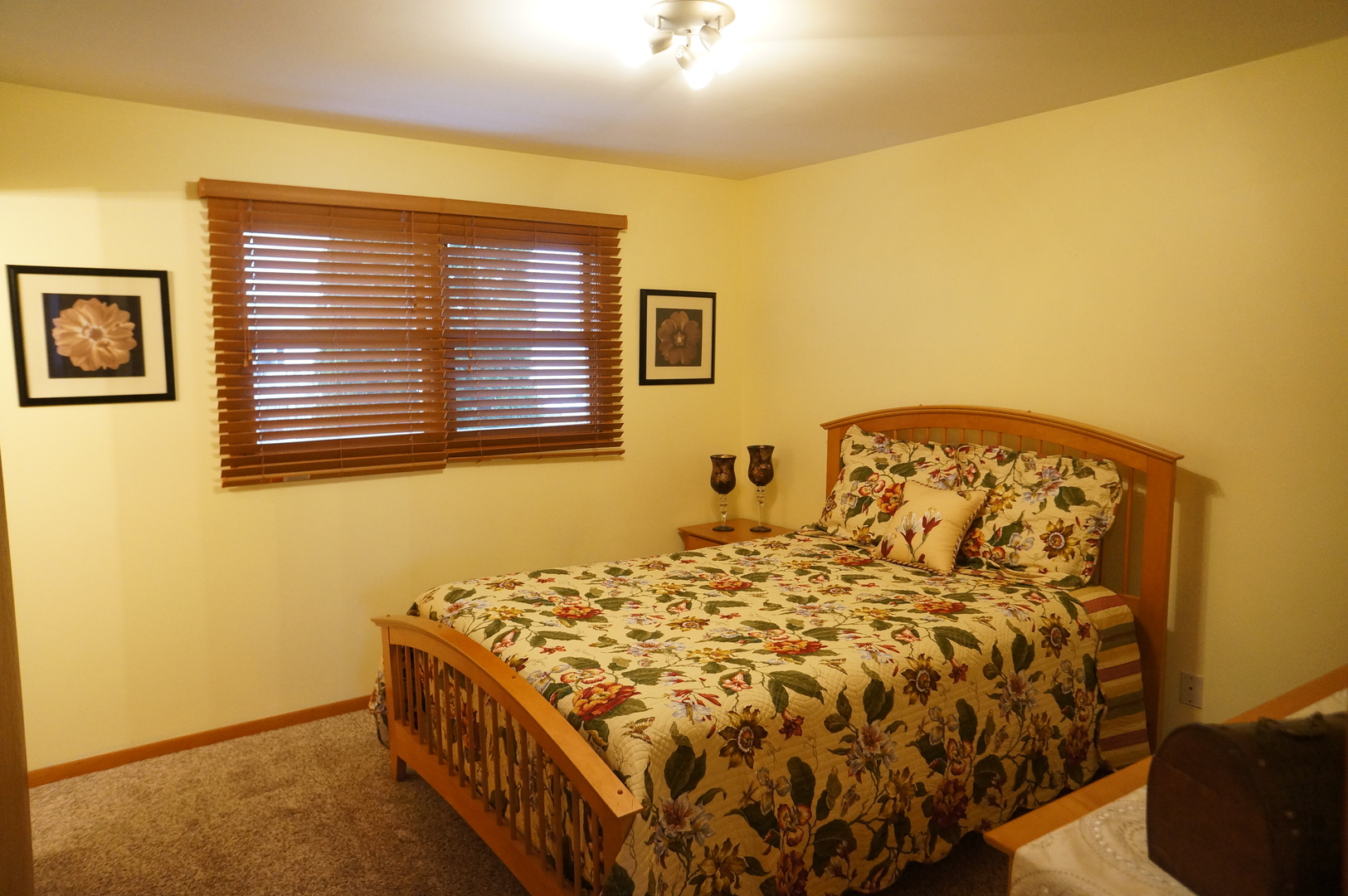 787 Amanda Road New Lenox, IL 60451 - Photo 16 of 30