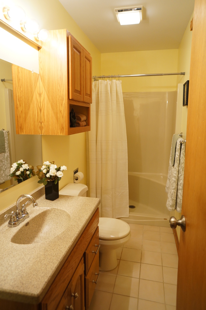 787 Amanda Road New Lenox, IL 60451 - Photo 17 of 30